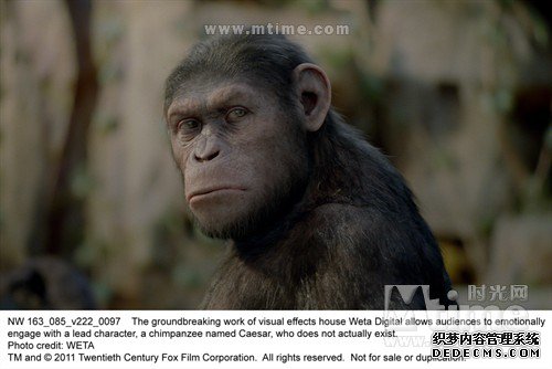 Rise of the Planet of the Apes(2011) #10